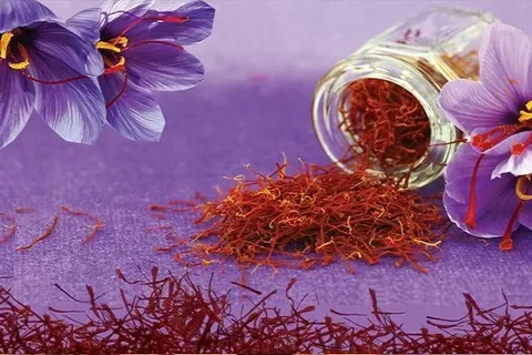 تصویر 3 از زعفران سحر خیز مشهد با کیفیت محبوب و عالی